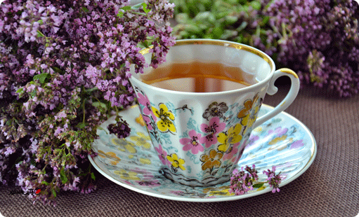 خرید چای ساز آزور | زنگین استور